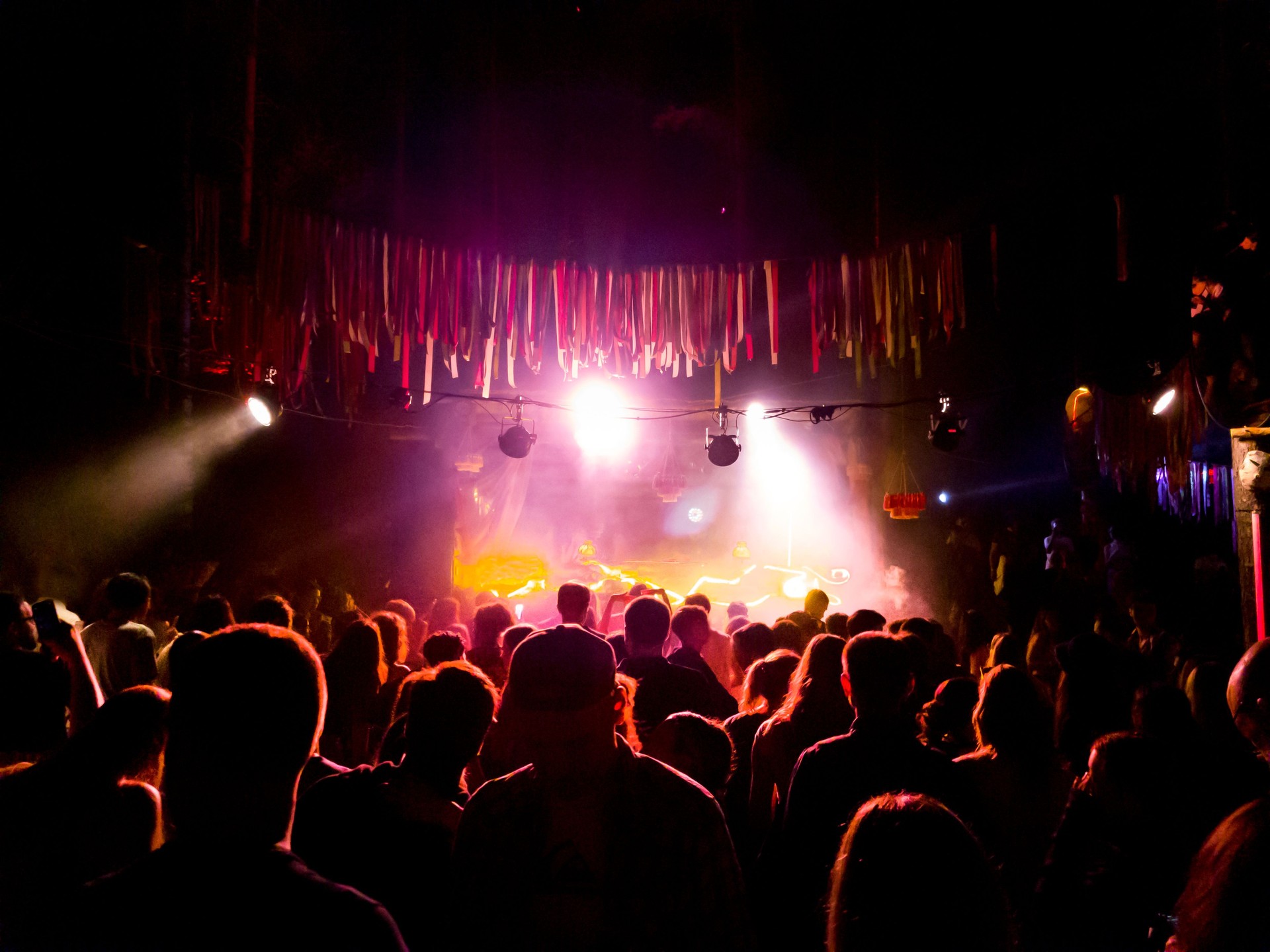 Crowd of people at music festival